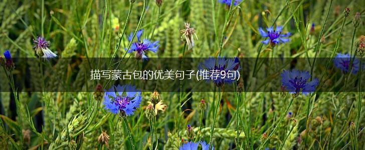 描写蒙古包的优美句子(推荐9句),第1张