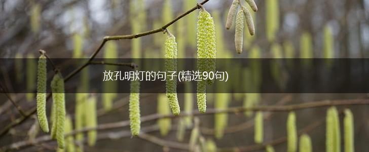 放孔明灯的句子(精选90句),第1张