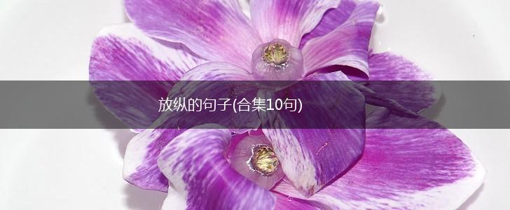 放纵的句子(合集10句),第1张