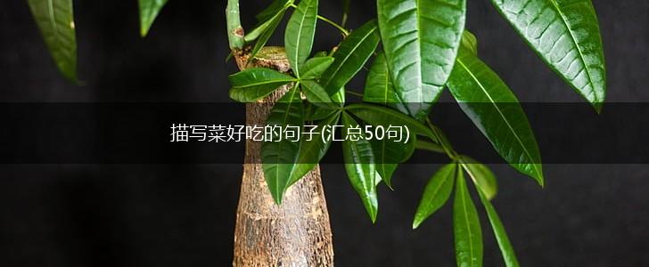 描写菜好吃的句子(汇总50句),第1张
