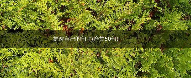 提醒自己的句子(合集50句),第1张