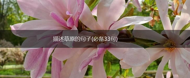 描述草原的句子(必备33句),第1张