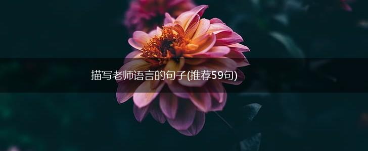 描写老师语言的句子(推荐59句),第1张