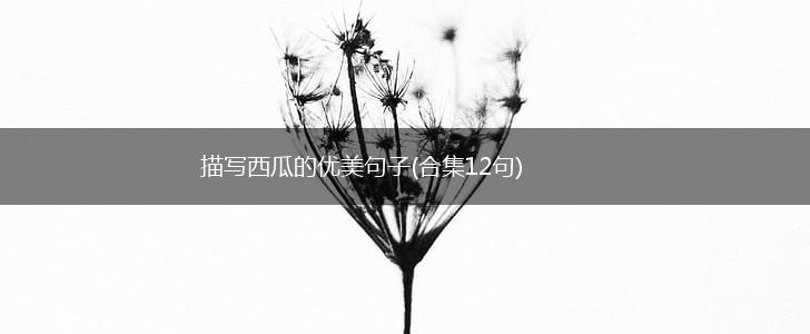 描写西瓜的优美句子(合集12句),第1张
