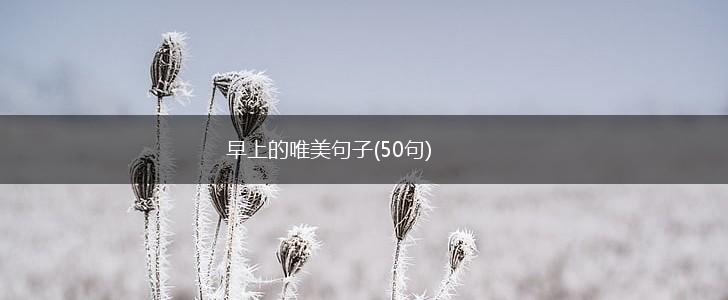 早上的唯美句子(50句),第1张