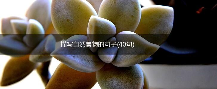 描写自然景物的句子(40句),第1张
