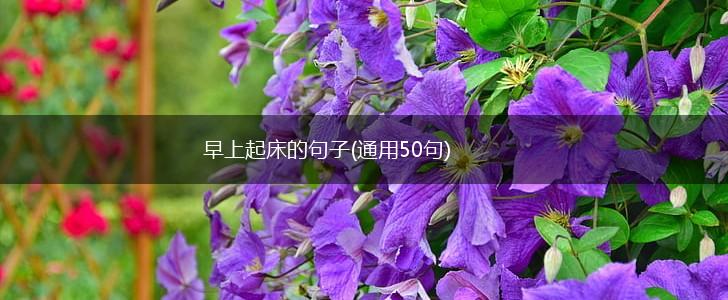 早上起床的句子(通用50句),第1张