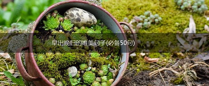 早出晚归的唯美句子(必备50句),第1张