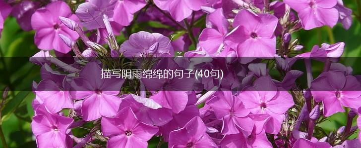 描写阴雨绵绵的句子(40句),第1张