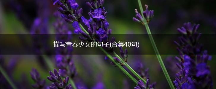 描写青春少女的句子(合集40句),第1张