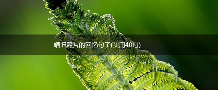 晒旧照片的回忆句子(实用40句),第1张