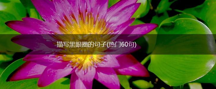 描写黑眼圈的句子(热门60句),第1张