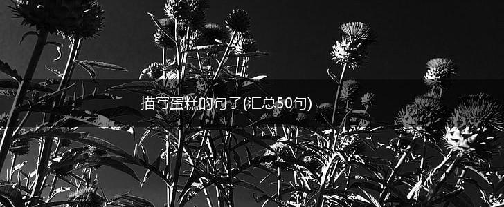 描写蛋糕的句子(汇总50句),第1张