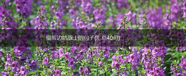 描写边防战士的句子(汇总40句),第1张