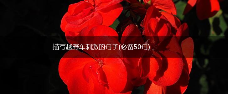 描写越野车刺激的句子(必备50句),第1张