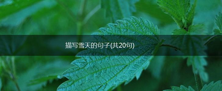 描写雪天的句子(共20句),第1张