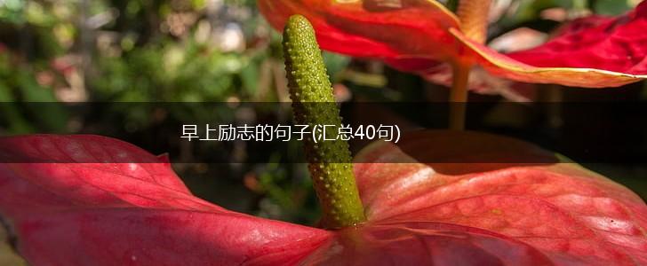 早上励志的句子(汇总40句),第1张