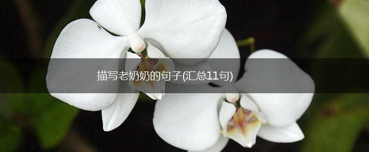 描写老奶奶的句子(汇总11句),第1张