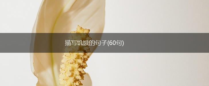 描写饥饿的句子(60句),第1张