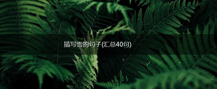 描写雪的句子(汇总40句),第1张