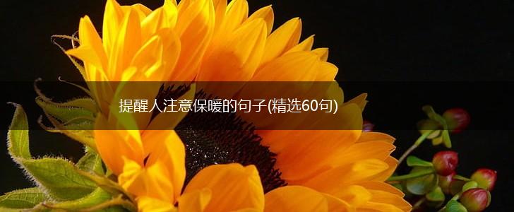 提醒人注意保暖的句子(精选60句),第1张