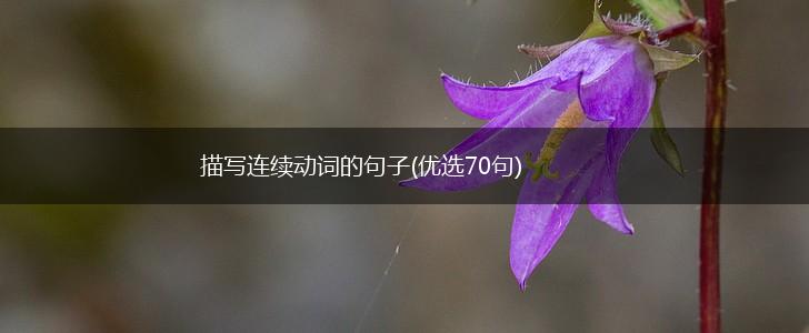 描写连续动词的句子(优选70句),第1张