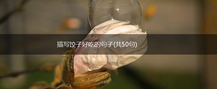 描写饺子好吃的句子(共50句),第1张