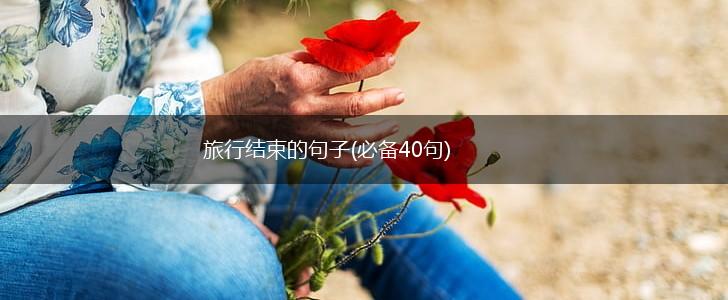 旅行结束的句子(必备40句),第1张