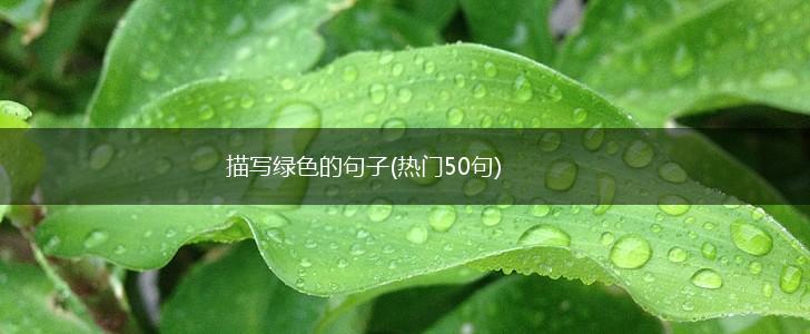 描写绿色的句子(热门50句),第1张