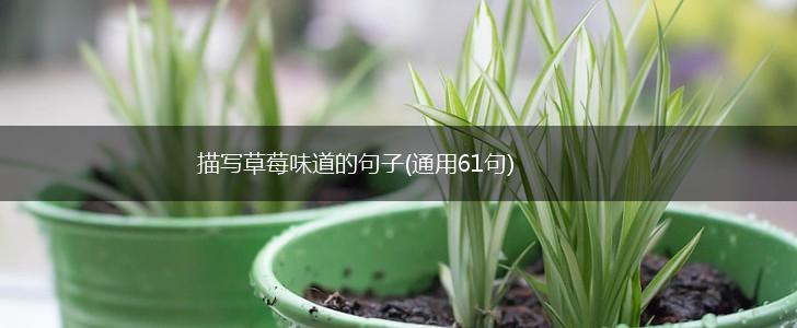 描写草莓味道的句子(通用61句),第1张