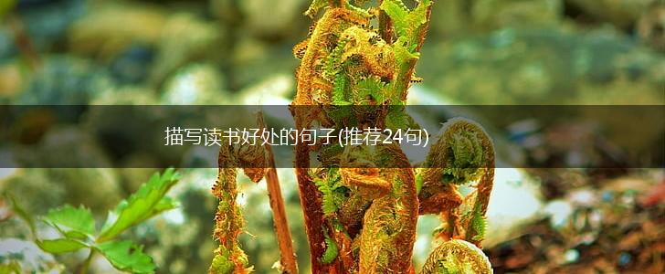 描写读书好处的句子(推荐24句),第1张