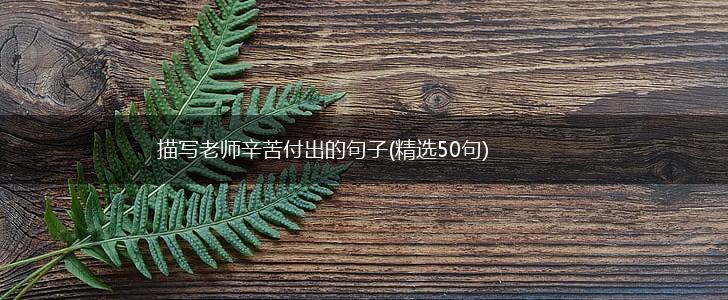 描写老师辛苦付出的句子(精选50句),第1张