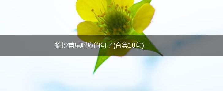 摘抄首尾呼应的句子(合集10句),第1张