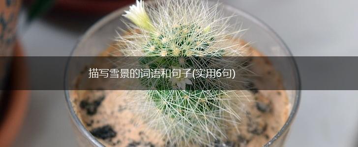 描写雪景的词语和句子(实用6句),第1张