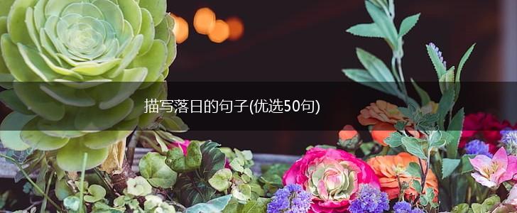 描写落日的句子(优选50句),第1张