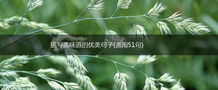 描写茶味道的优美句子(通用51句),第1张
