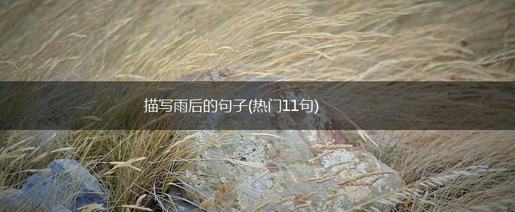 描写雨后的句子(热门11句),第1张