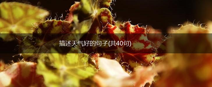 描述天气好的句子(共40句),第1张