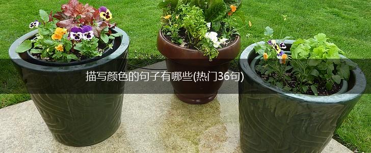 描写颜色的句子有哪些(热门36句),第1张