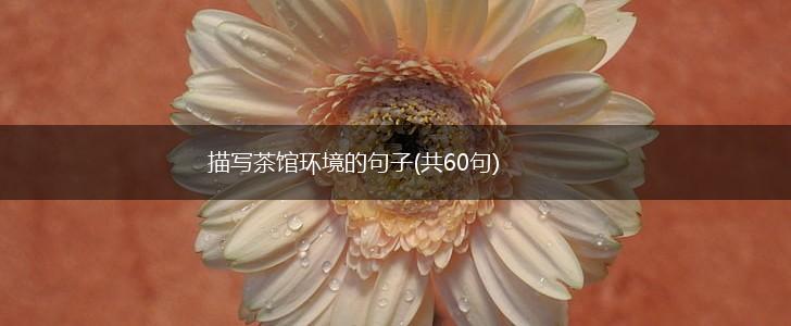 描写茶馆环境的句子(共60句),第1张