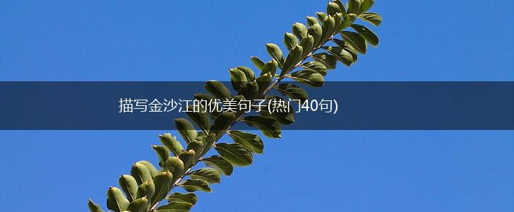 描写金沙江的优美句子(热门40句),第1张
