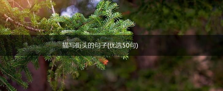 描写街头的句子(优选50句),第1张