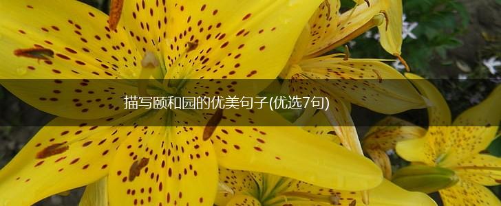 描写颐和园的优美句子(优选7句),第1张