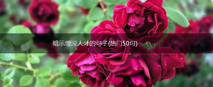 暗示埋没人才的句子(热门50句),第1张