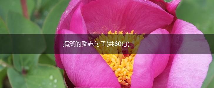 搞笑的励志句子(共60句),第1张