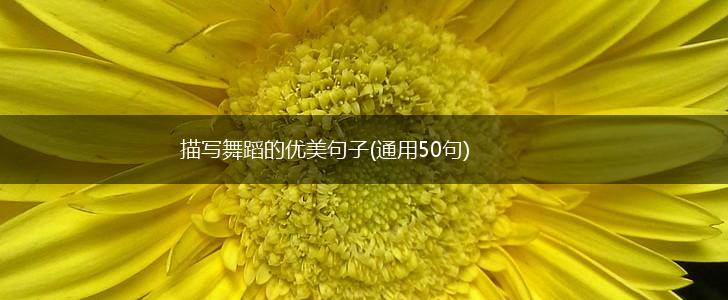 描写舞蹈的优美句子(通用50句),第1张