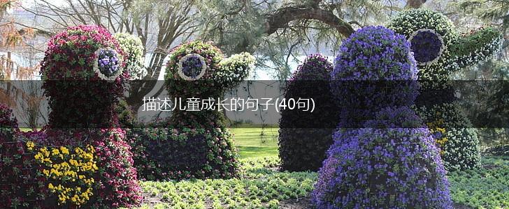 描述儿童成长的句子(40句),第1张