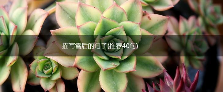描写雪后的句子(推荐40句),第1张