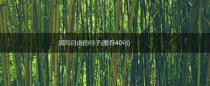 描写自由的句子(推荐40句),第1张
