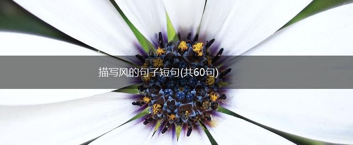 描写风的句子短句(共60句),第1张